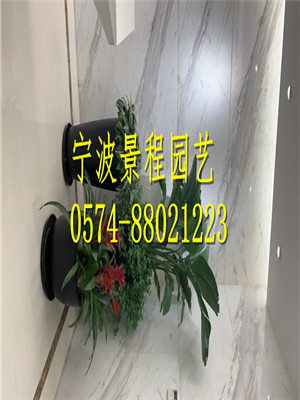 組合擺放4